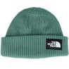 Salty Dog Beanie Dark Sage Cuff - The North Face